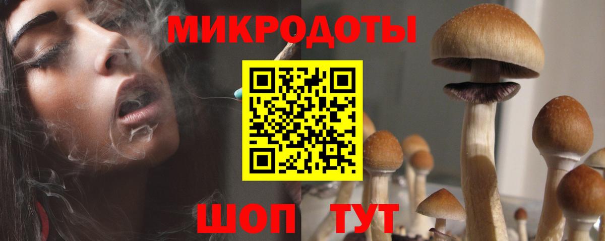 Южноуральск  Псилоцибиновые грибы GOLDEN TEACHER  Вход с VPN  Псилоцибиновые грибы Cubensis 